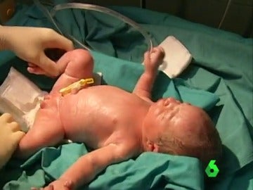 Imagen de un bebé recién nacido Imagen de un bebé recién nacido
