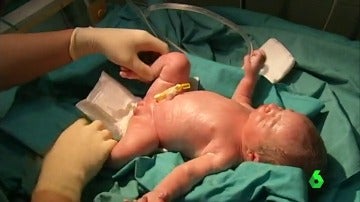 Imagen de un bebé recién nacido