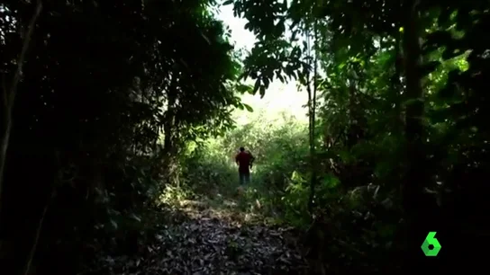 Una investigación de Greenpeace relaciona la tala ilegal del Amazonas con la 'matanza de Colniza': "Asesinaban a los que estaban cerca de la concesión maderera" Una investigación de Greenpeace relaciona la tala ilegal del Amazonas con la 'matanza de Colniza': "Asesinaban a los que estaban cerca de la concesión maderera"
