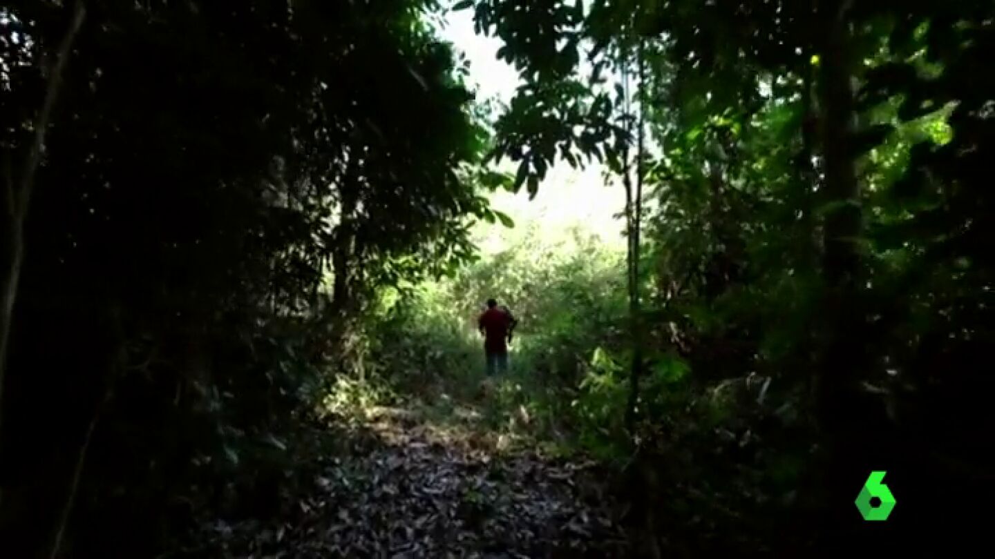 Una investigaci&oacute;n de Greenpeace relaciona la tala ilegal del Amazonas con la 'matanza de Colniza': "Asesinaban a los que estaban cerca de la concesi&oacute;n maderera"