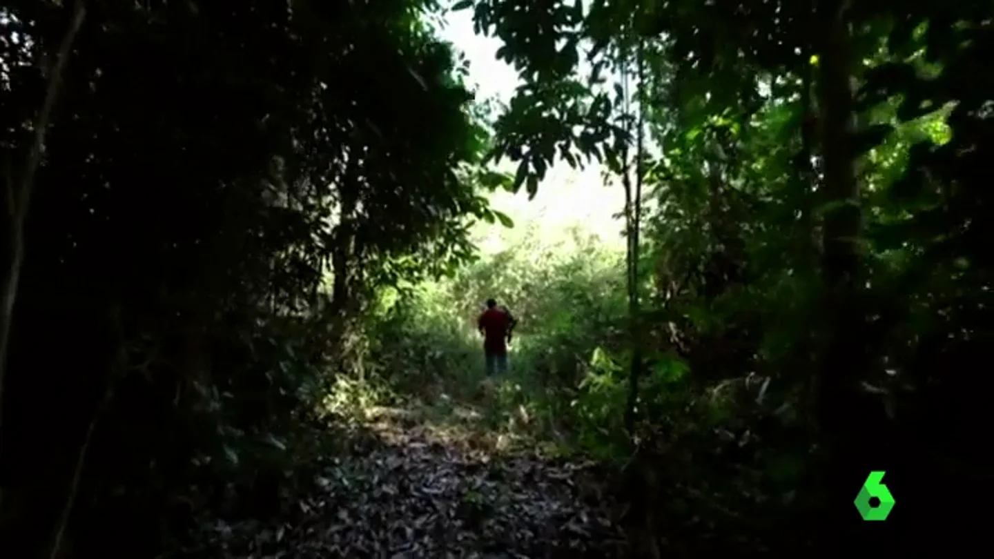 Una investigación de Greenpeace relaciona la tala ilegal del Amazonas con la 'matanza de Colniza': "Asesinaban a los que estaban cerca de la concesión maderera" Una investigación de Greenpeace relaciona la tala ilegal del Amazonas con la 'matanza de Colniza': "Asesinaban a los que estaban cerca de la concesión maderera"