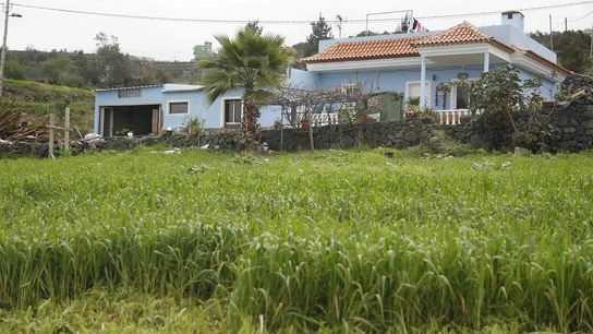 Exterior de la vivienda ubicada en el municipio tinerfeño de Los Realejos donde se registró el suceso Exterior de la vivienda ubicada en el municipio tinerfeño de Los Realejos donde se registró el suceso