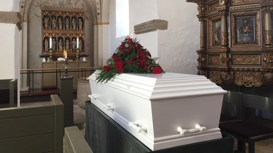 Foto de archivo de un ataúd Foto de archivo de un ataúd