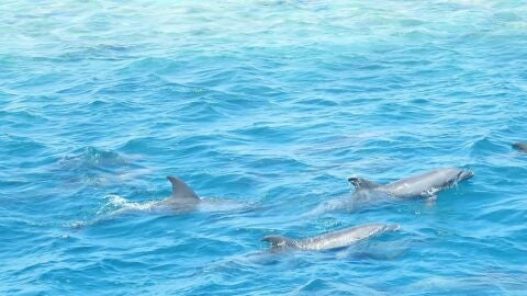 Marsa Alam