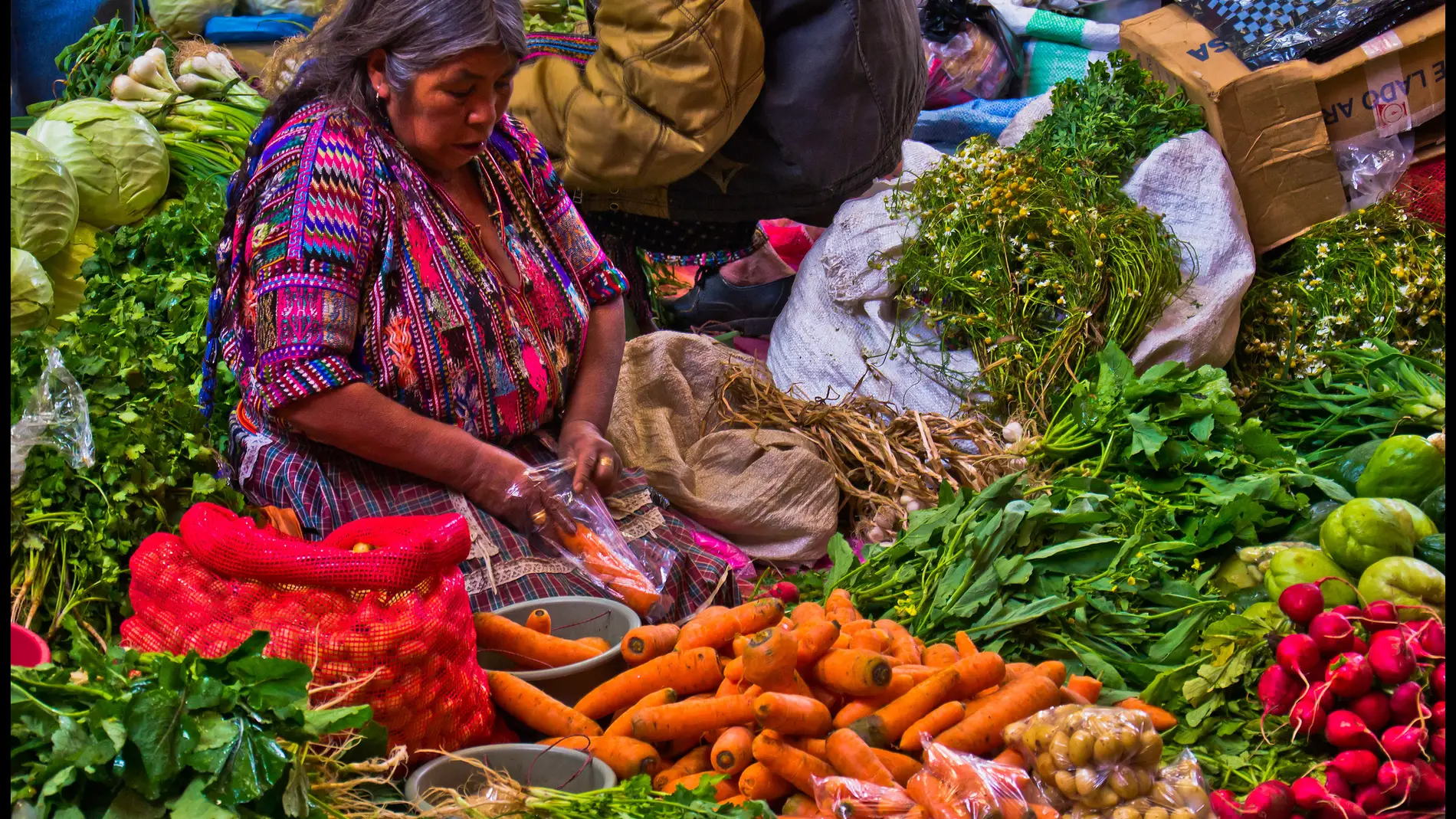 Las verduras son la fuente principal de ácido úrico. / Guillén Pérez.