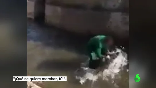 jabali jabali
