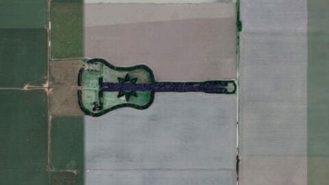 Bosque con forma de guitarra