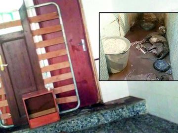 Uno de los perros fallecidos tras ser encerrado en un pequeño espacio Uno de los perros fallecidos tras ser encerrado en un pequeño espacio