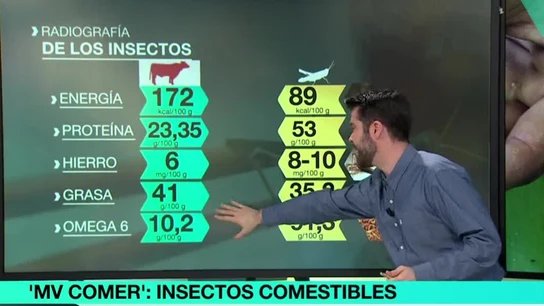 Radiografía de los insectos Radiografía de los insectos