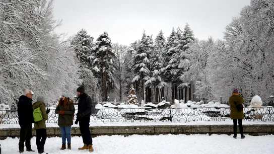 Aspecto que presentaba los jardínes del Palacio Real de La Granja después de la nieve caída Aspecto que presentaba los jardínes del Palacio Real de La Granja después de la nieve caída