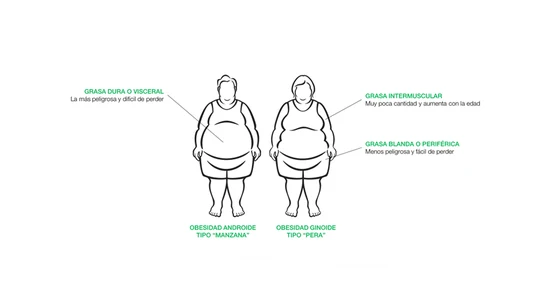 La grasa del cuerpo La grasa del cuerpo