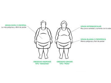 La grasa del cuerpo La grasa del cuerpo
