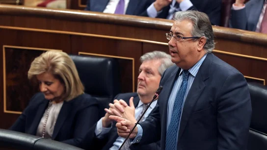 Imagen del ministro Zoido hablando en el Congreso Imagen del ministro Zoido hablando en el Congreso
