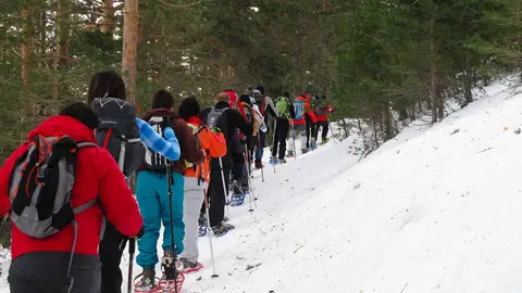 Ruta de Raquetas de Nieve 8 planes de invierno en Madrid para disfrutar de la nieve