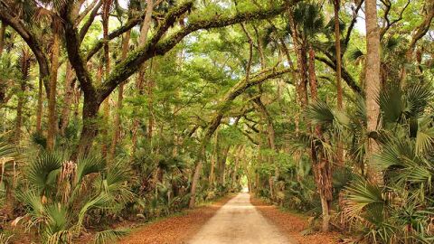 7 rutas en Florida te llevarán a conocer ruinas extraordinarias