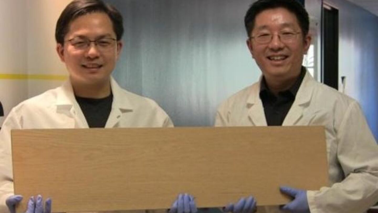 Ingenieros sostienen la madera