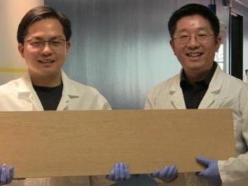 Ingenieros sostienen la madera Ingenieros sostienen la madera