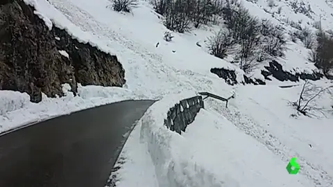 Un alud cae en Asturias Un alud cae en Asturias