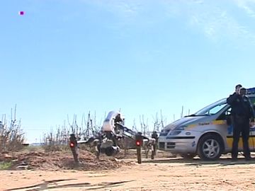 Los agricultores se arman con drones para evitar los robos de naranjas Los agricultores se arman con drones para evitar los robos de naranjas