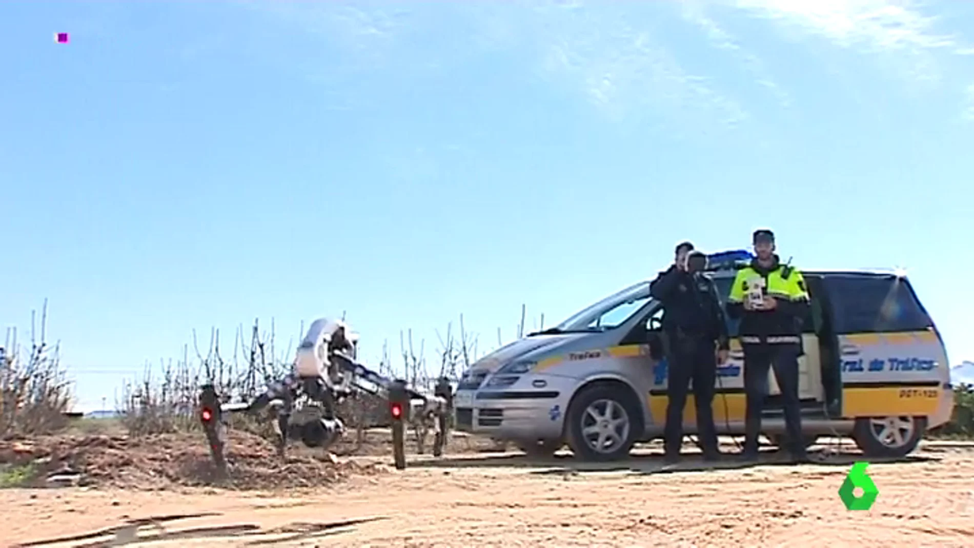 Los agricultores se arman con drones para evitar los robos de naranjas