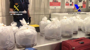 Imagen de las angulas incautadas en el aeropuerto de Barajas