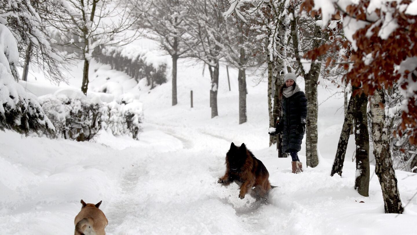 Una mujer observa a unos perros en la nieve tras la fuerte nevada que ha ca&iacute;do en la localidad vizca&iacute;na de Urkiola