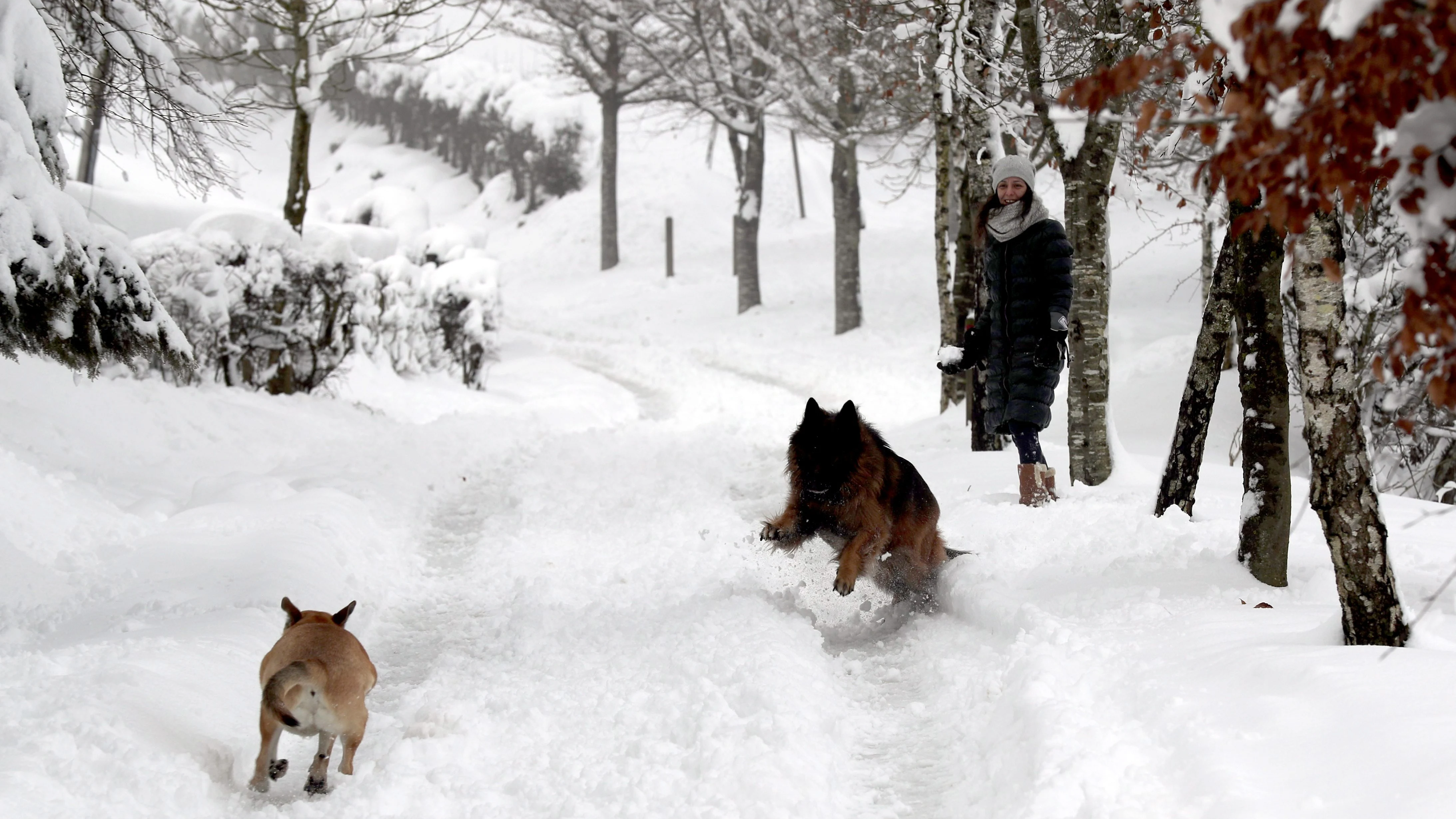 Una mujer observa a unos perros en la nieve tras la fuerte nevada que ha caído en la localidad vizcaína de Urkiola