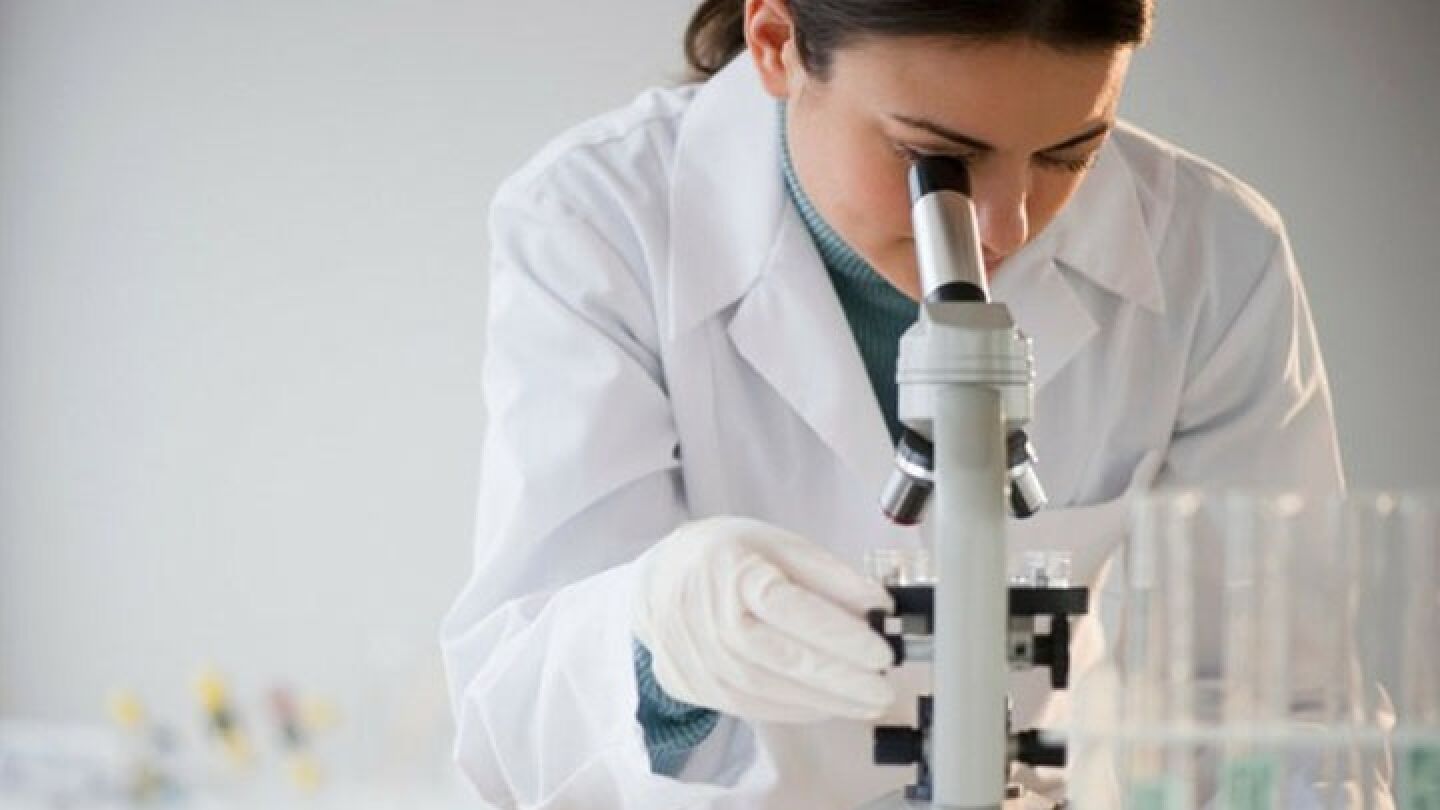 D&iacute;a Mundial de las mujeres y las ni&ntilde;as en ciencia. 