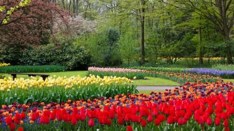 Jardín Keukenhof