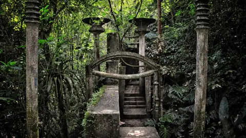 Jardín Las Pozas Jardín Las Pozas