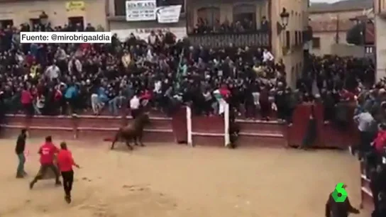 cornada cornada