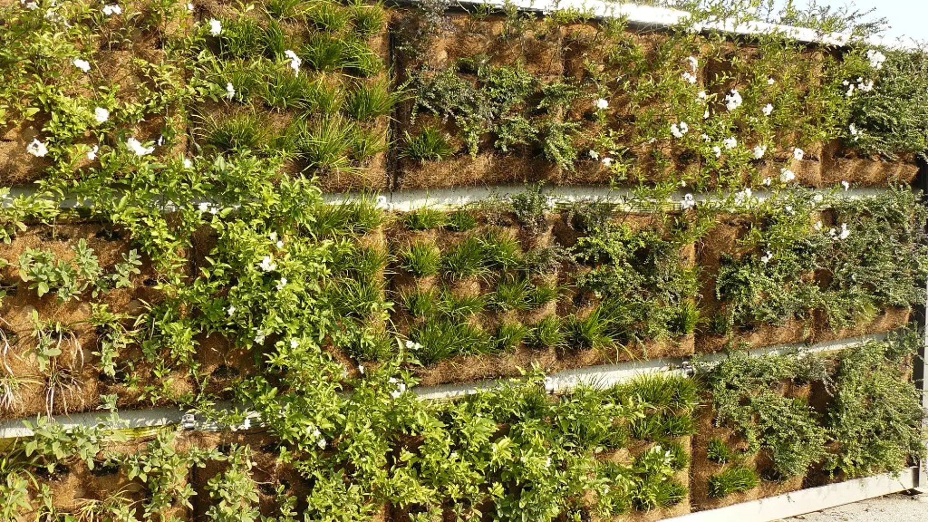 Jardín vertical modular (Civitanova Marche, Italia).