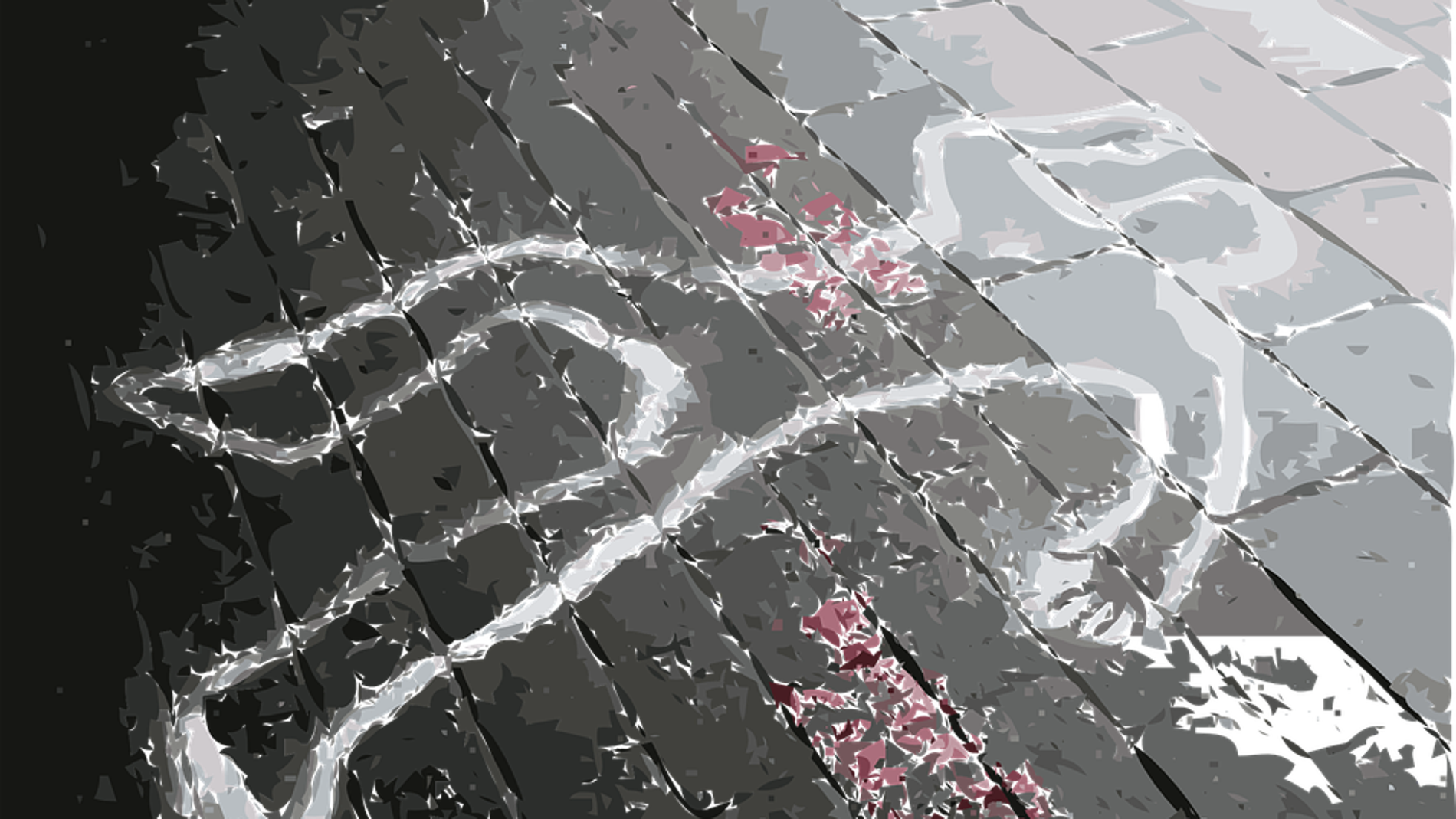 La expresion de los genes puede determinar la hora de la muerte
