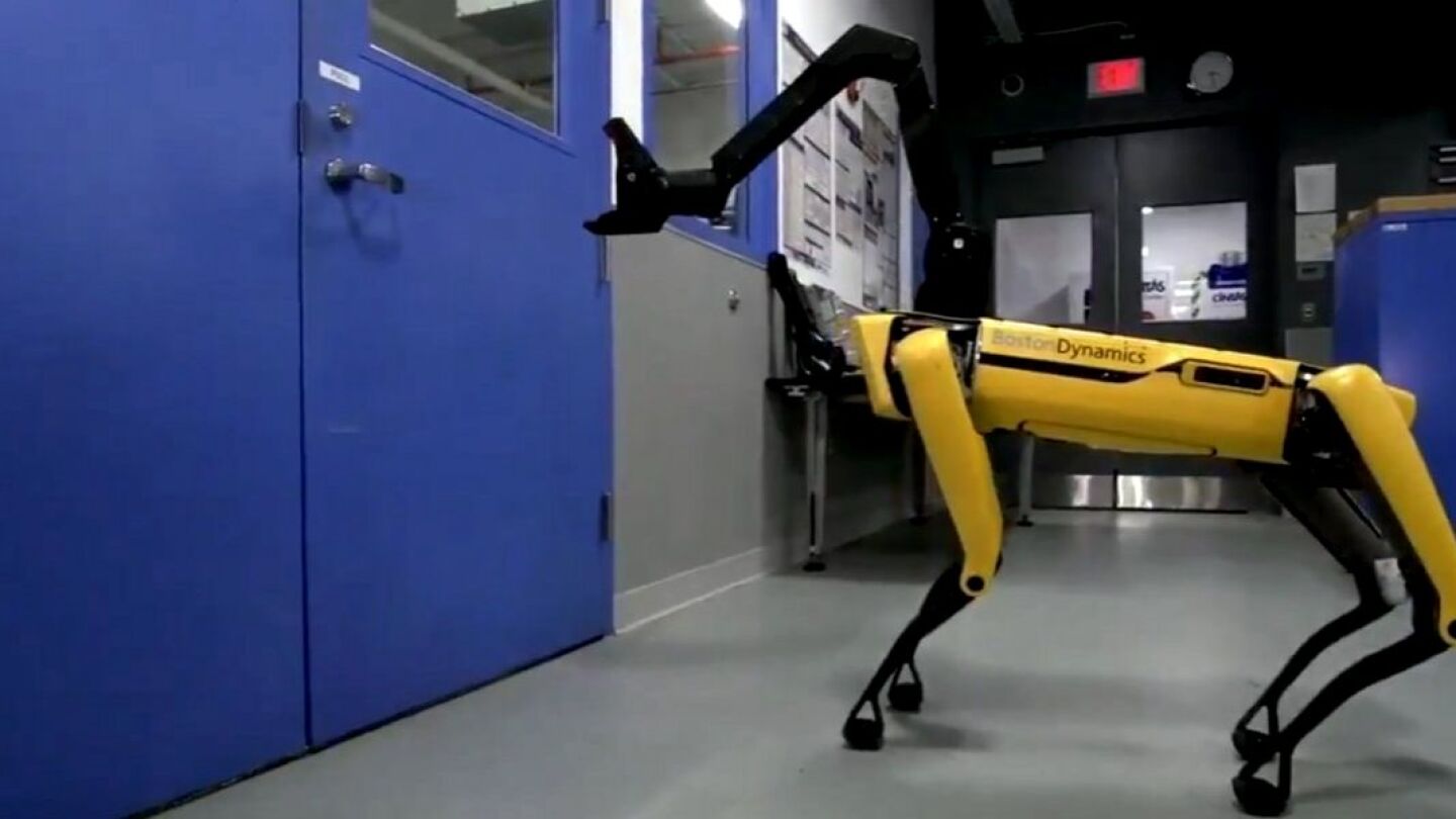 Perro robot