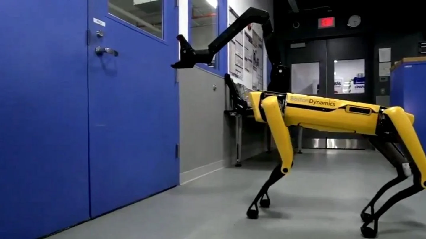 Perro robot Perro robot