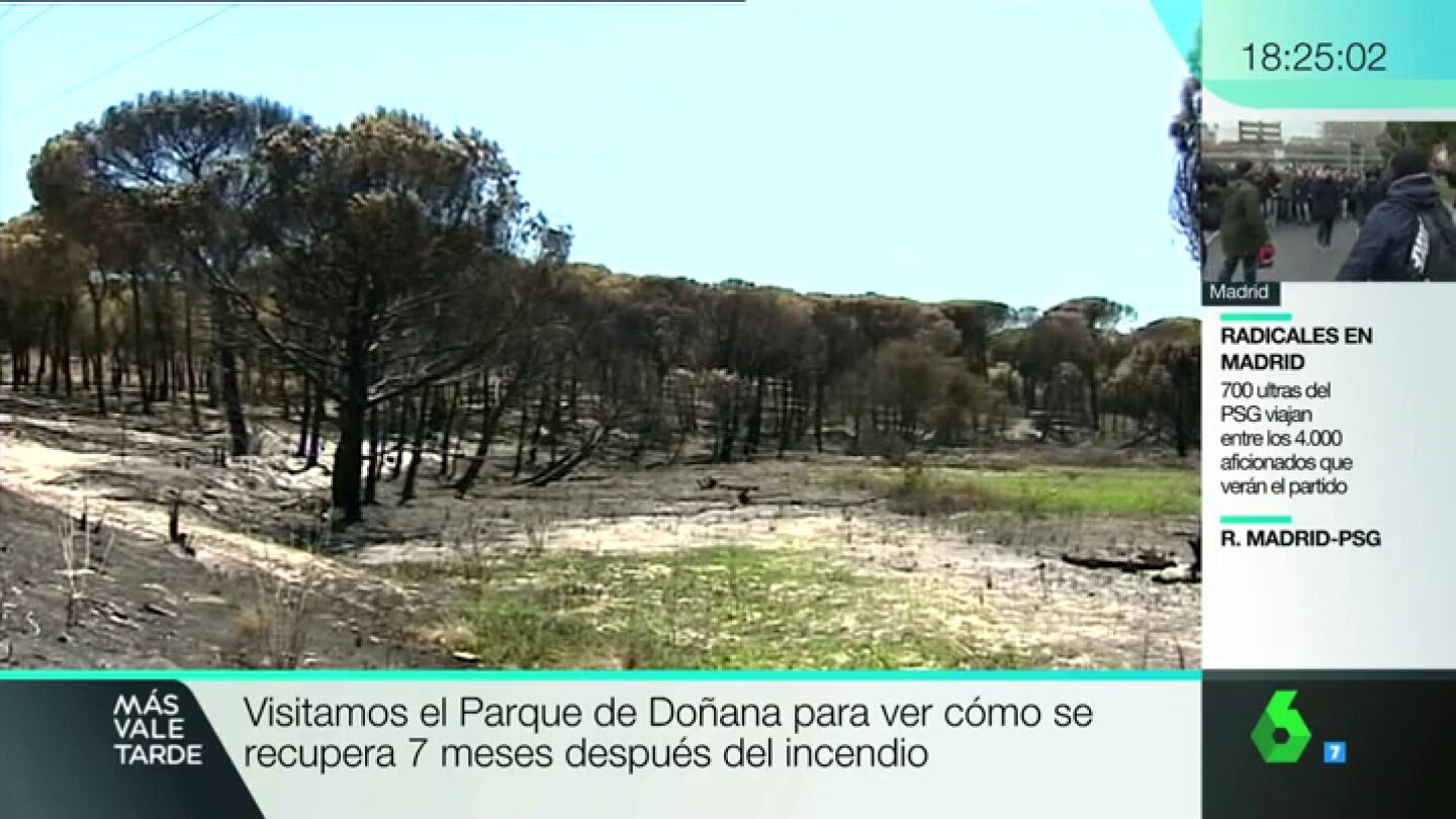 DO&Atilde;ANA