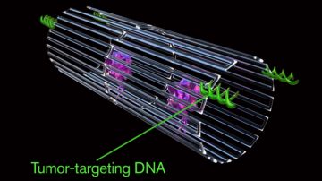 Nanorrobots
