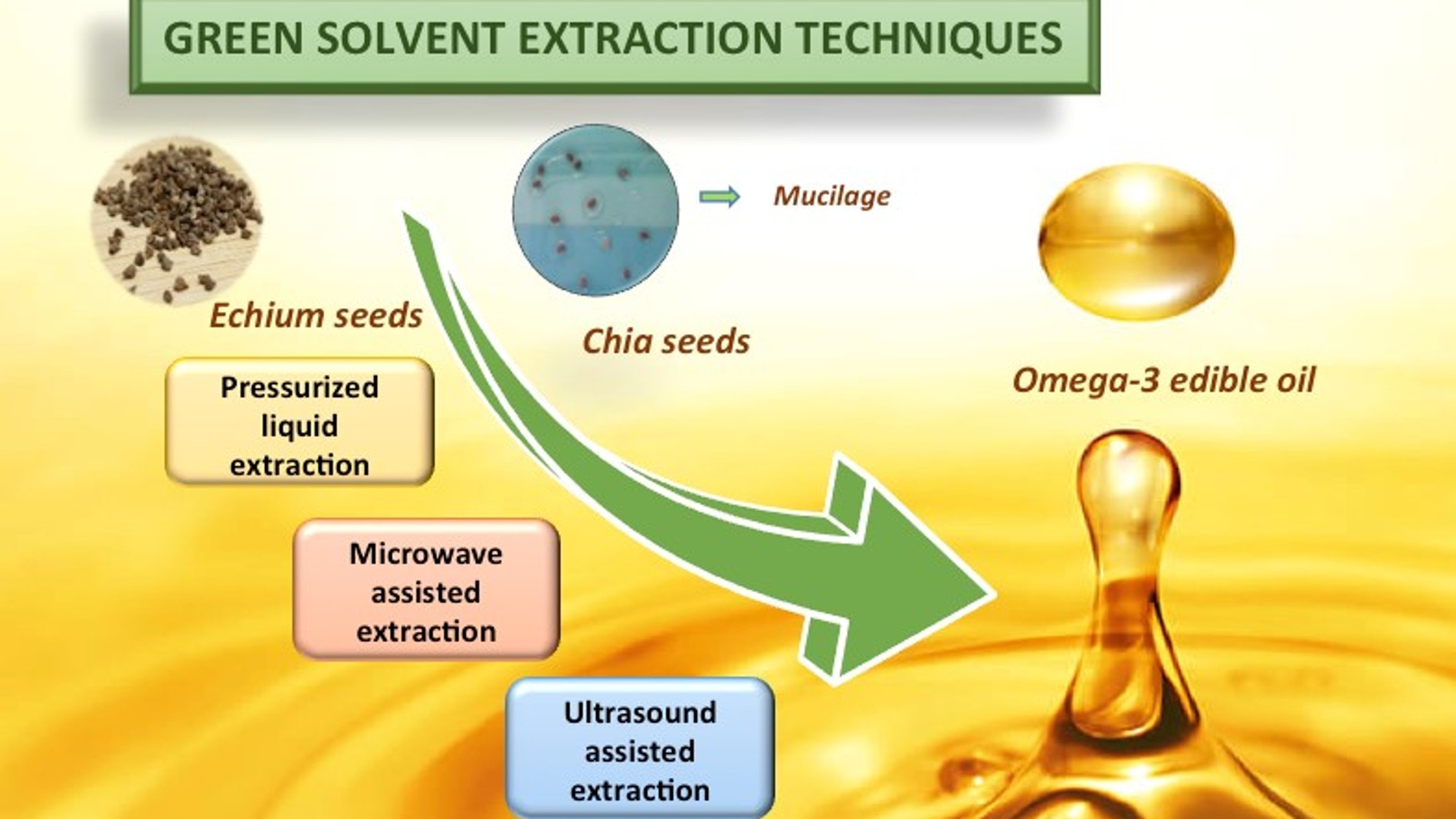 Diagrama de la técnica de extracción de aceites. Desde la semilla extracción mediante líquidos presurizados, extracción asistida por ultrasonidos o por microondas.