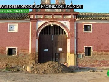 patrimonio patrimonio