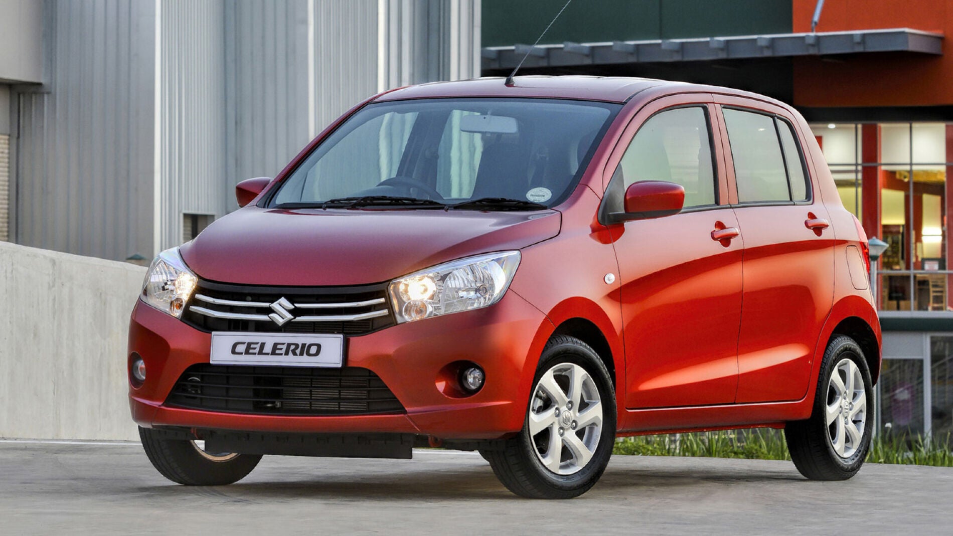 0celerio.jpg