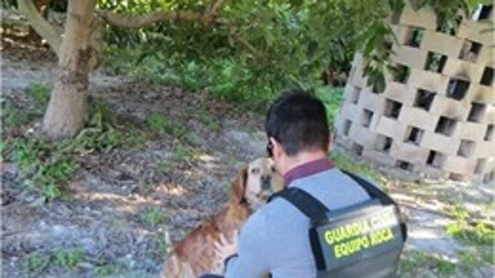 Imagen de la Guardia Civil junto al perro víctima de la paliza Imagen de la Guardia Civil junto al perro víctima de la paliza