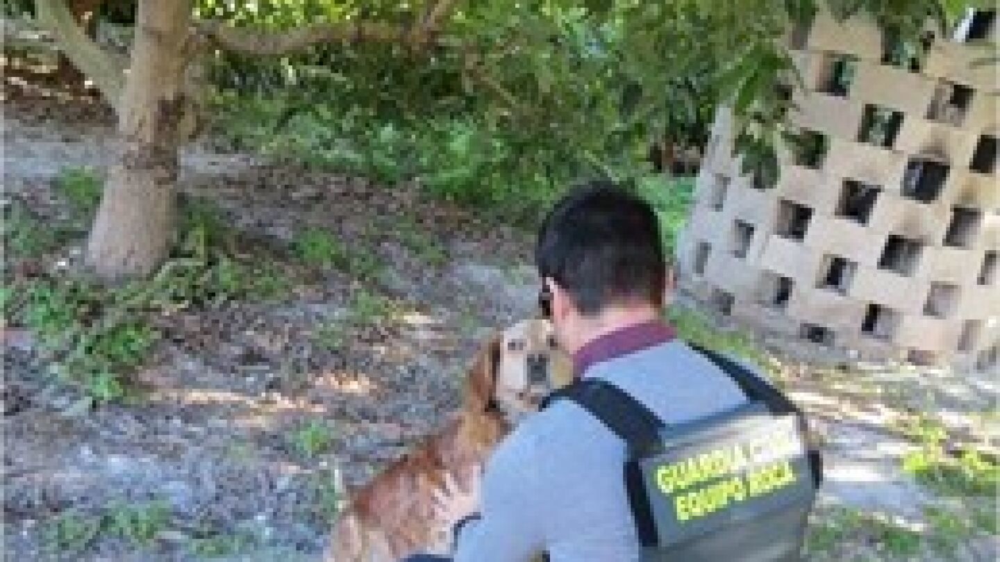 Imagen de la Guardia Civil junto al perro v&iacute;ctima de la paliza