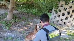 Imagen de la Guardia Civil junto al perro víctima de la paliza