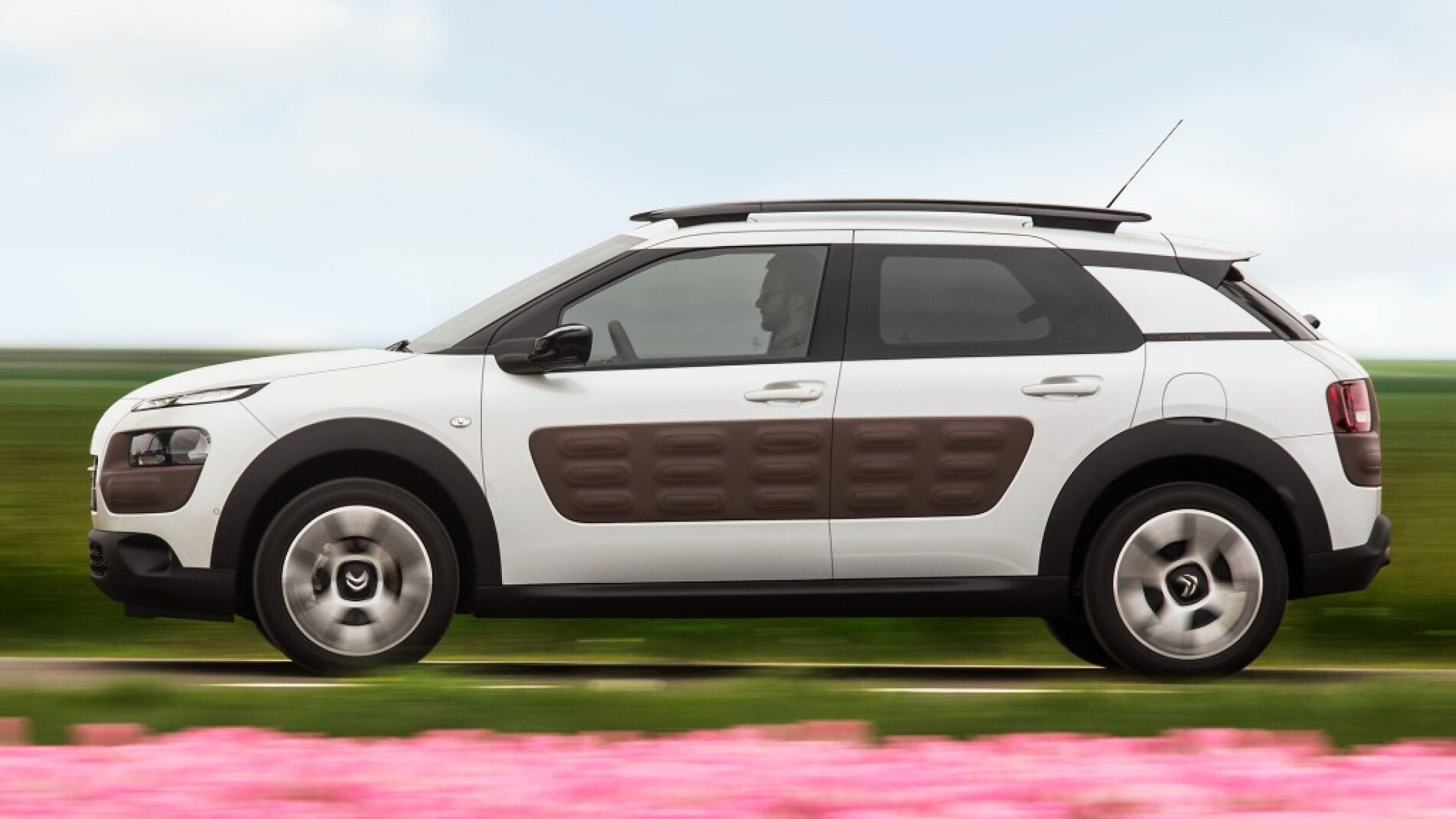 citroen-c4-cactus11.jpg