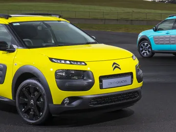 0c4cactus.jpg 0c4cactus.jpg