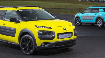 0c4cactus.jpg