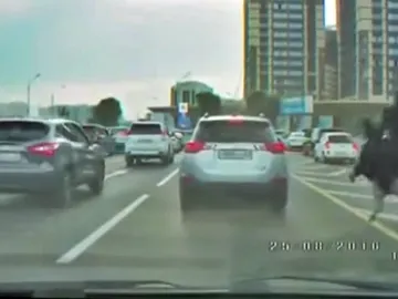 avestruz-atasco-2016-01.jpg avestruz-atasco-2016-01.jpg