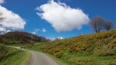 Route-Napoleon-2016-01
