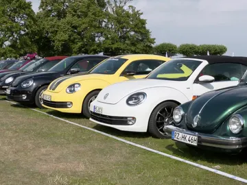 Beetle1.jpg Beetle1.jpg