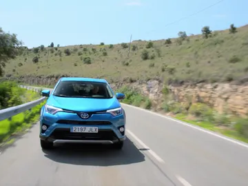 Rav41.jpg Rav41.jpg